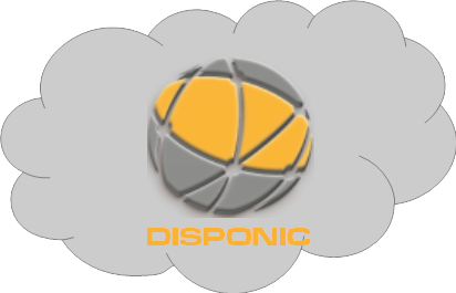 DISPONIC Kompletthosting