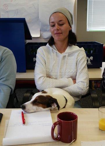 Kann Personaleinsatzplanung einschläfernd sein?